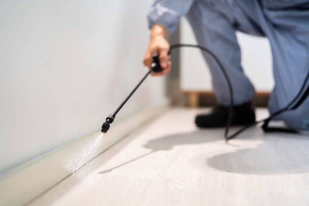 Bed Bug Pre-Treatment Preparation Assessment in Smith Valley