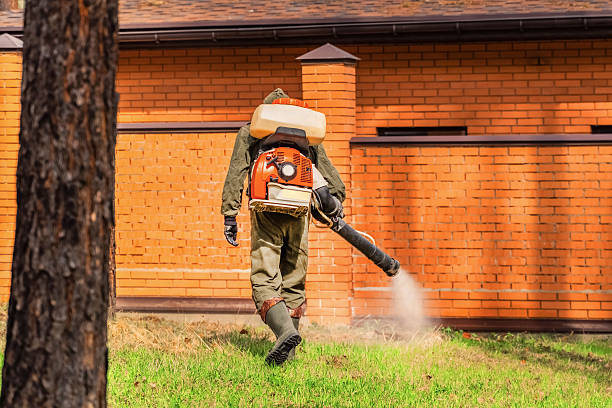 Bed Bug Clearance Verification and Documentation in Smith Valley